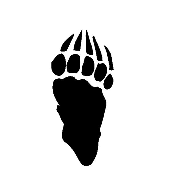 paw Thumbnail