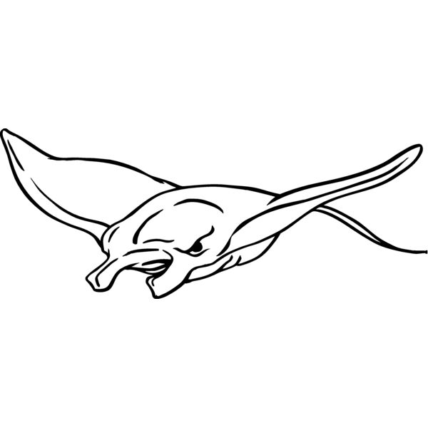 mantaray05 Thumbnail