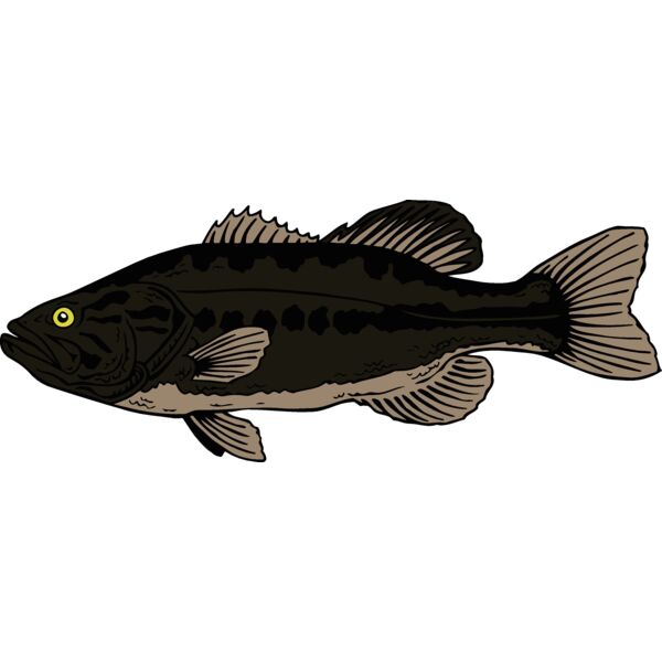 fish largemouthbass Thumbnail